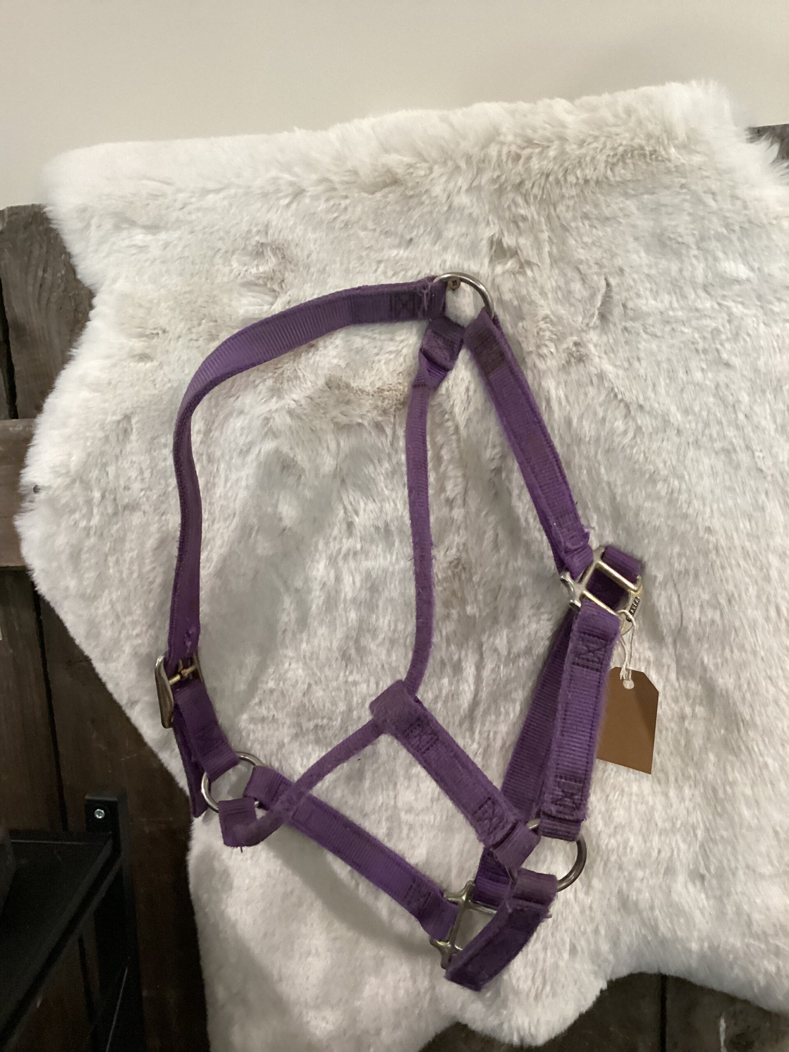 Nylon Halter Purple with Cheek Snap Nylon Halter Purple with Cheek Snap