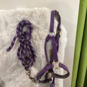 Nylon Halter Purple with Lead rope