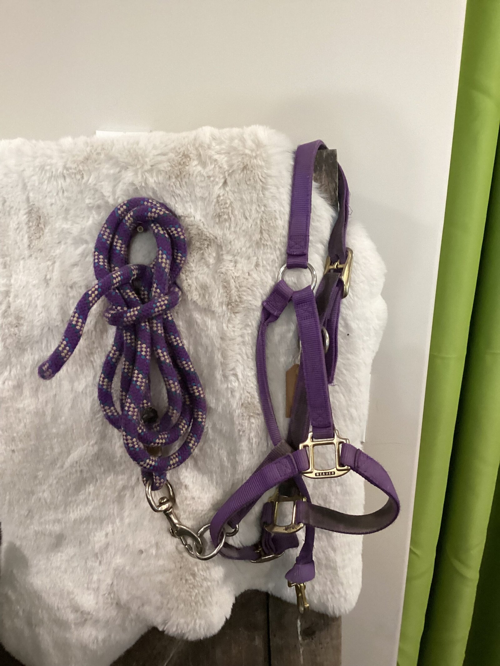 Nylon Halter Purple with Lead rope Nylon Halter Purple with Lead rope