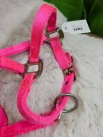 Nylon Halter Small Arab