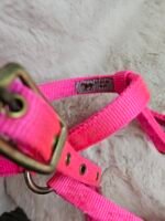 Nylon Halter Small Arab