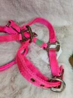 Nylon Halter Small Arab