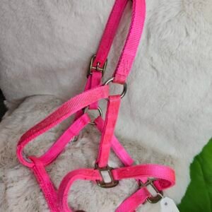 Nylon Halter Small Arab