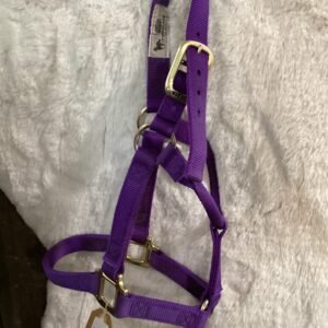 Nylon Halter Small Purple
