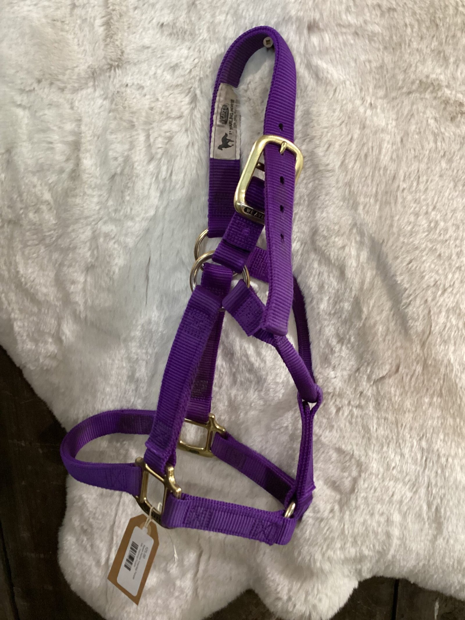 Nylon Halter Small Purple Nylon Halter Small Purple
