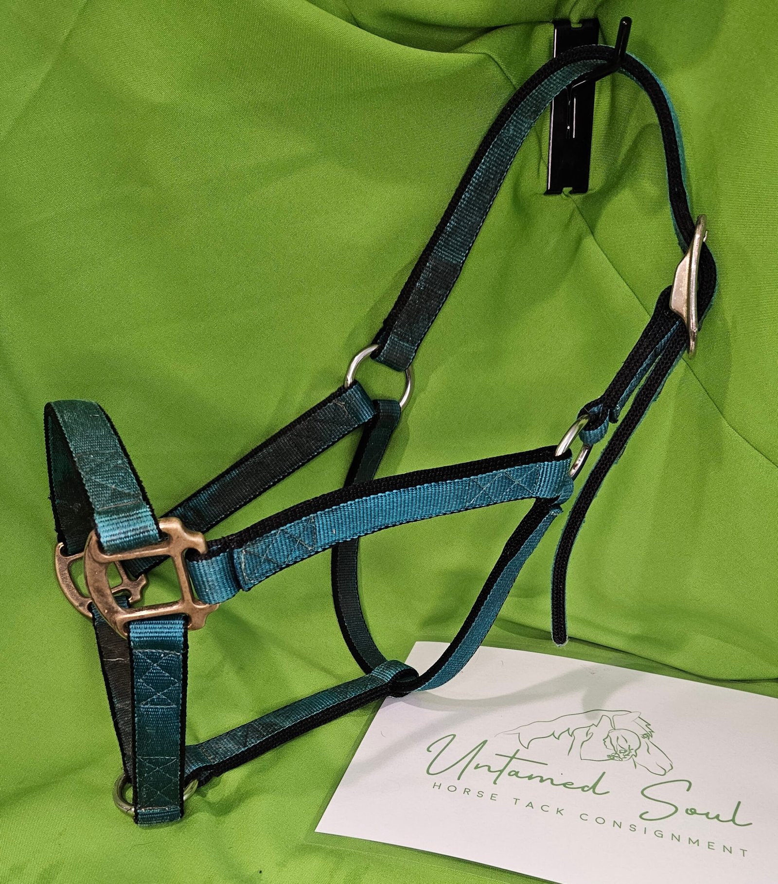 Nylon Halter Teal Black Nylon Halter Teal Black