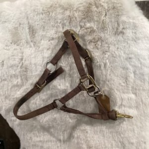 Nylon Halter Weanling Brown with Cheek Snap