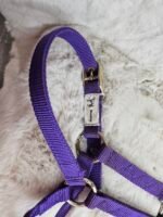 Nylon Halter Weanling Purple