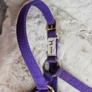 Nylon Halter Weanling Purple