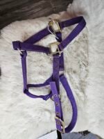 Nylon Halter Weanling Purple