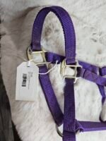 Nylon Halter Weanling Purple