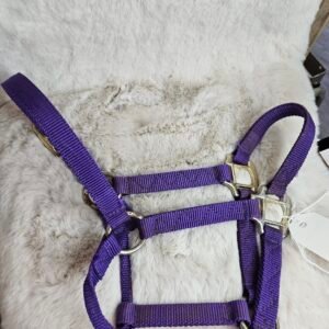 Nylon Halter Weanling Purple