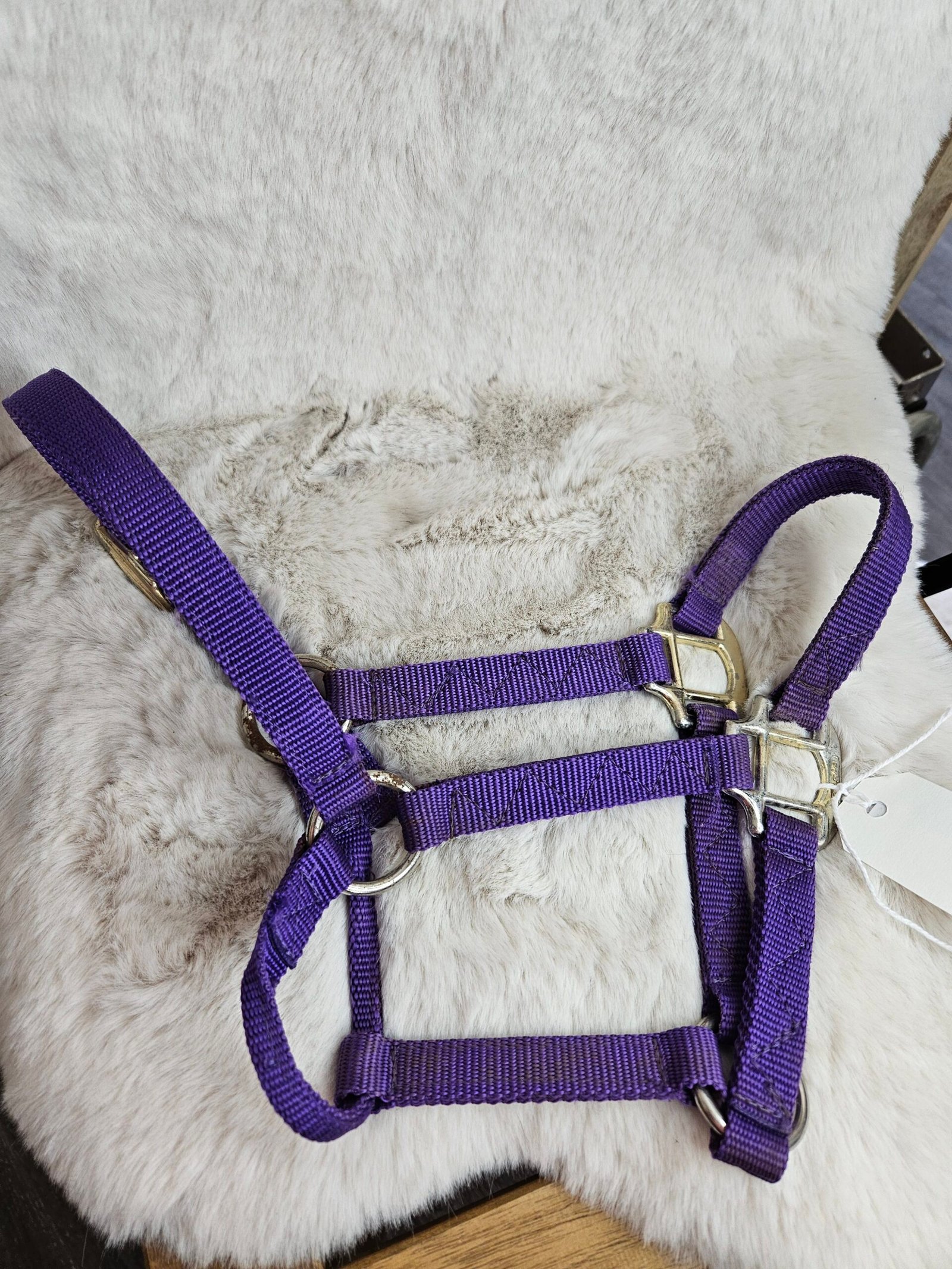Nylon Halter Weanling Purple Nylon Halter Weanling Purple