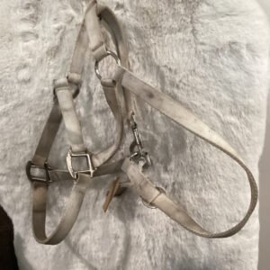 Nylon Halter White with Cheek Snap
