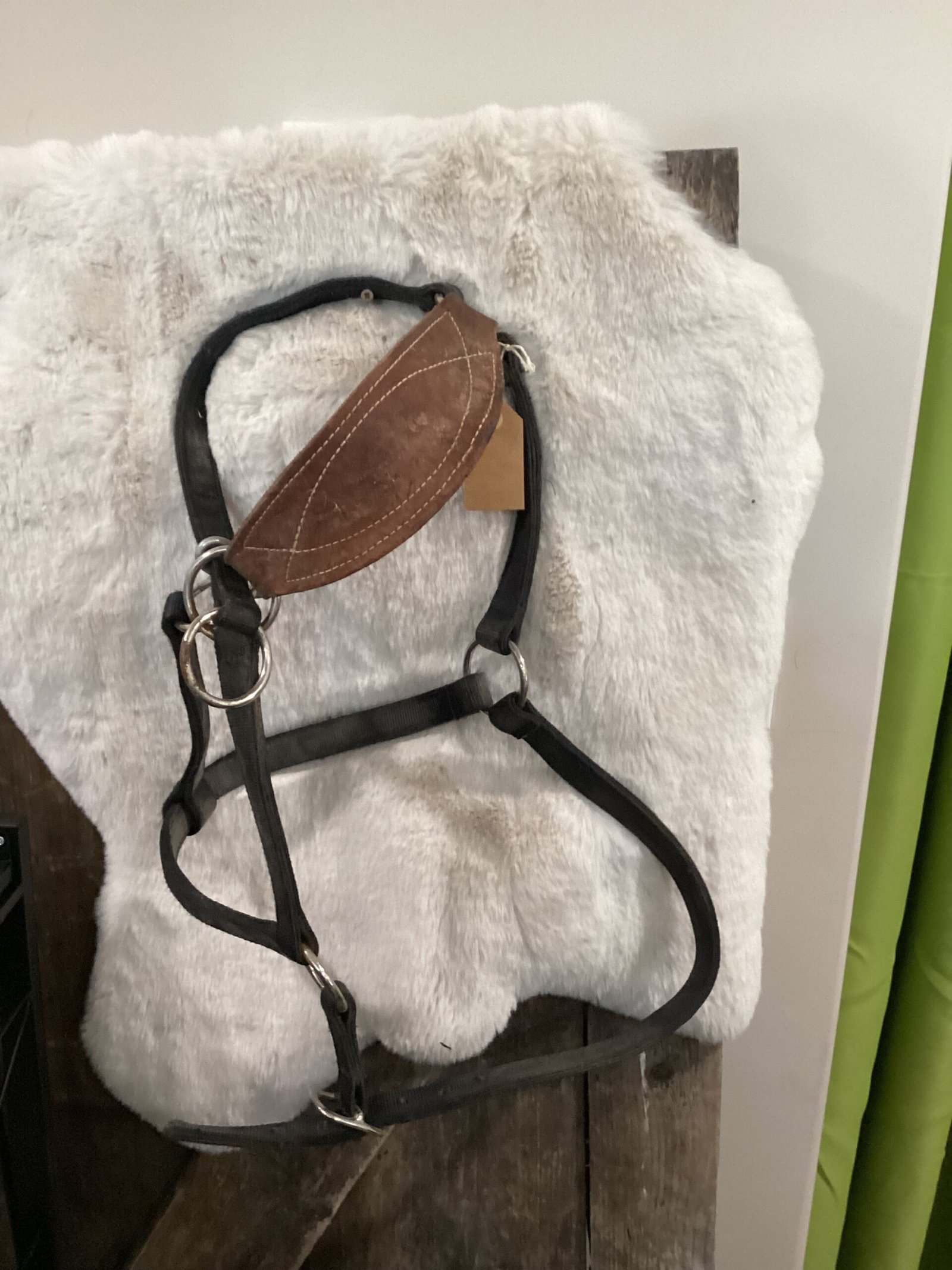 Nylon Halter with Leather Nose Piece Black Nylon Halter with Leather Nose Piece Black