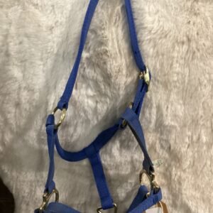 Nylon Halter Yearling blue