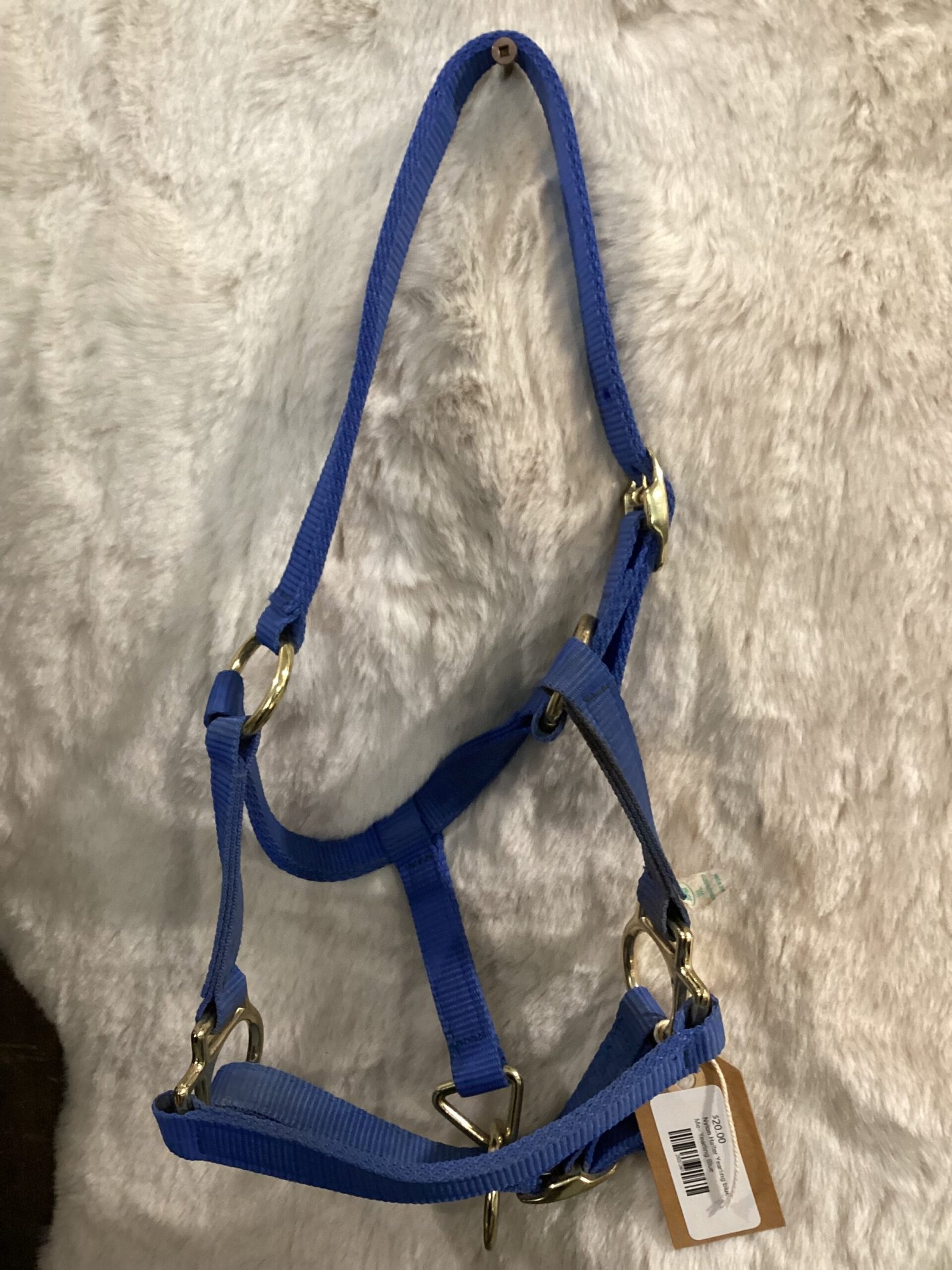 Nylon Halter Yearling blue Nylon Halter Yearling blue