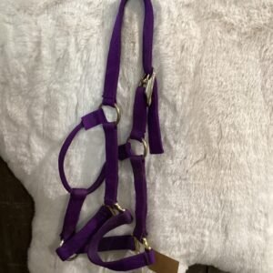 Nylon Halter Yearling Purple