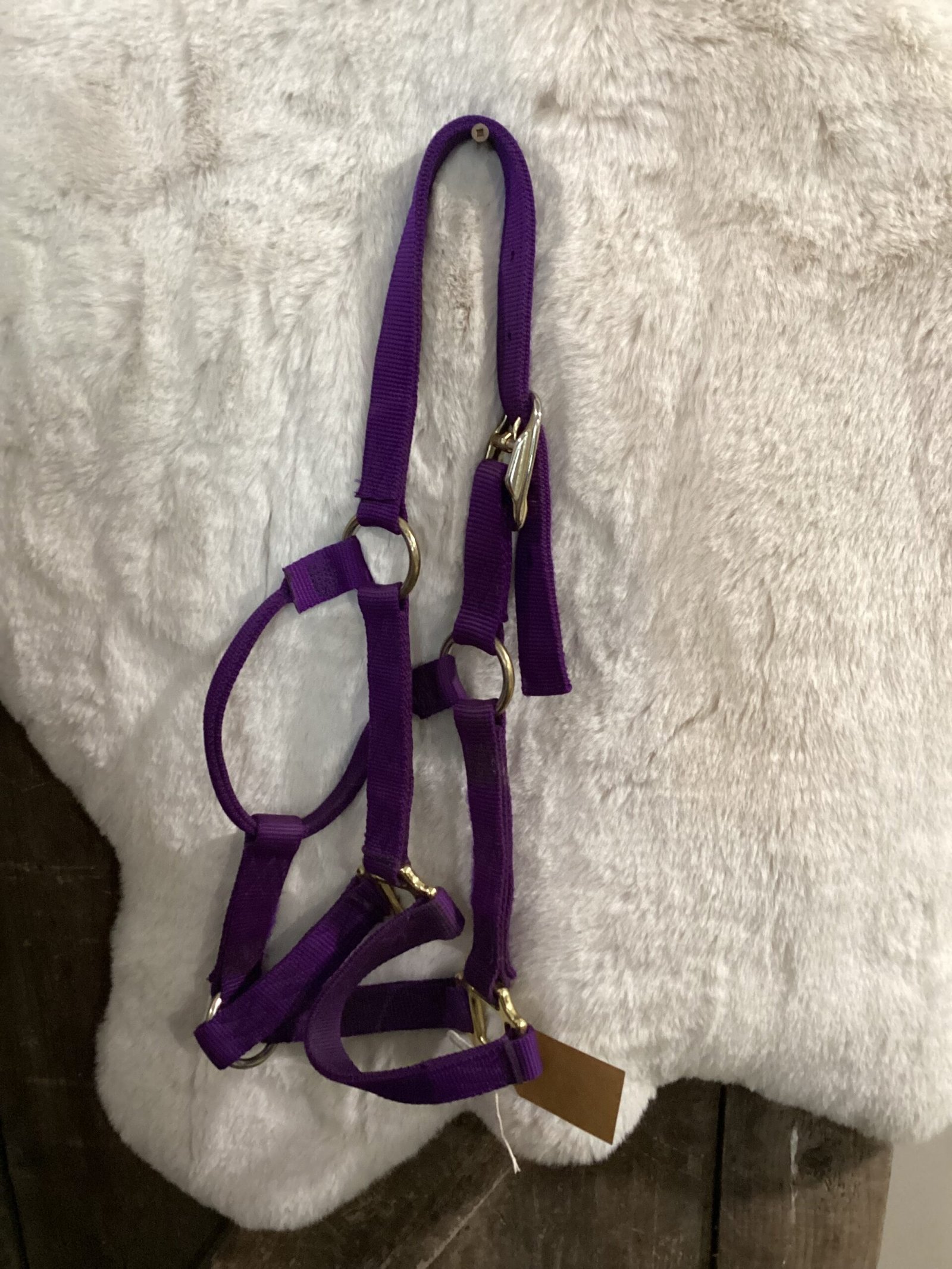 Nylon Halter Yearling Purple Nylon Halter Yearling Purple