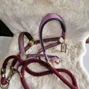 Nylon Padded Head and Nose Halter With Lead