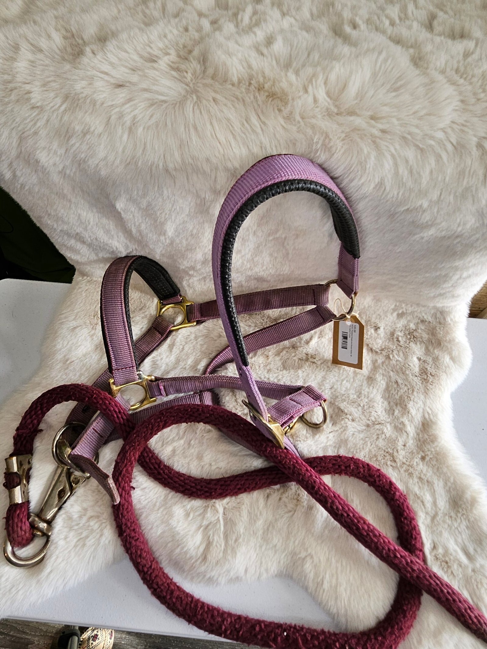 Nylon Padded Head and Nose Halter With Lead Nylon Padded Head and Nose Halter With Lead