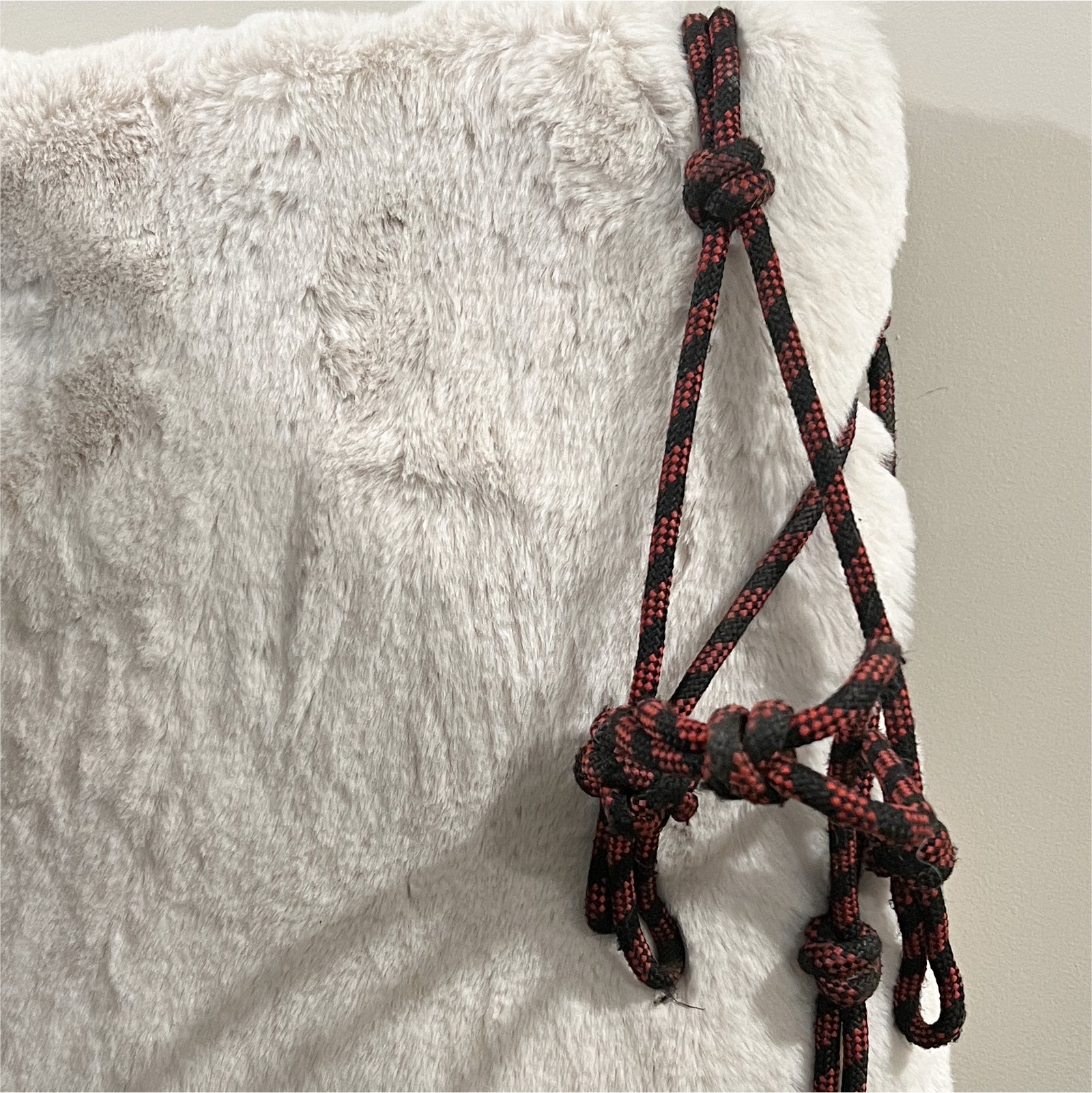 Rope Halter Rope Halter