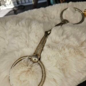 Snaffle Bit
