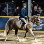 Tapestry Comfort Pony English Long Girth