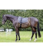 Used HKM Lunging System with Surcingle