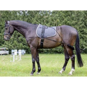 Used HKM Lunging System with Surcingle