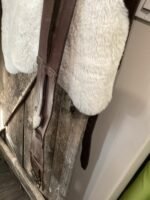Vaulting Surcingle