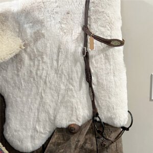 Western Bridle with Bit