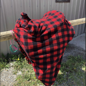 Western Saddle Sox