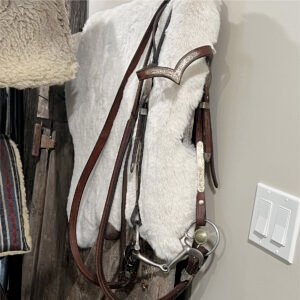 Western Show Bridle, Bit & Heavy Reins