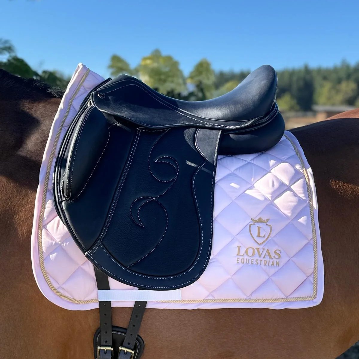 Liberty Dressage Saddle